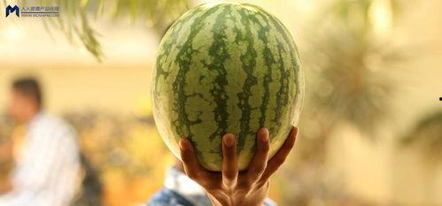 娱乐吃瓜为什么火爆