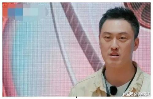 娱乐圈吃瓜实录